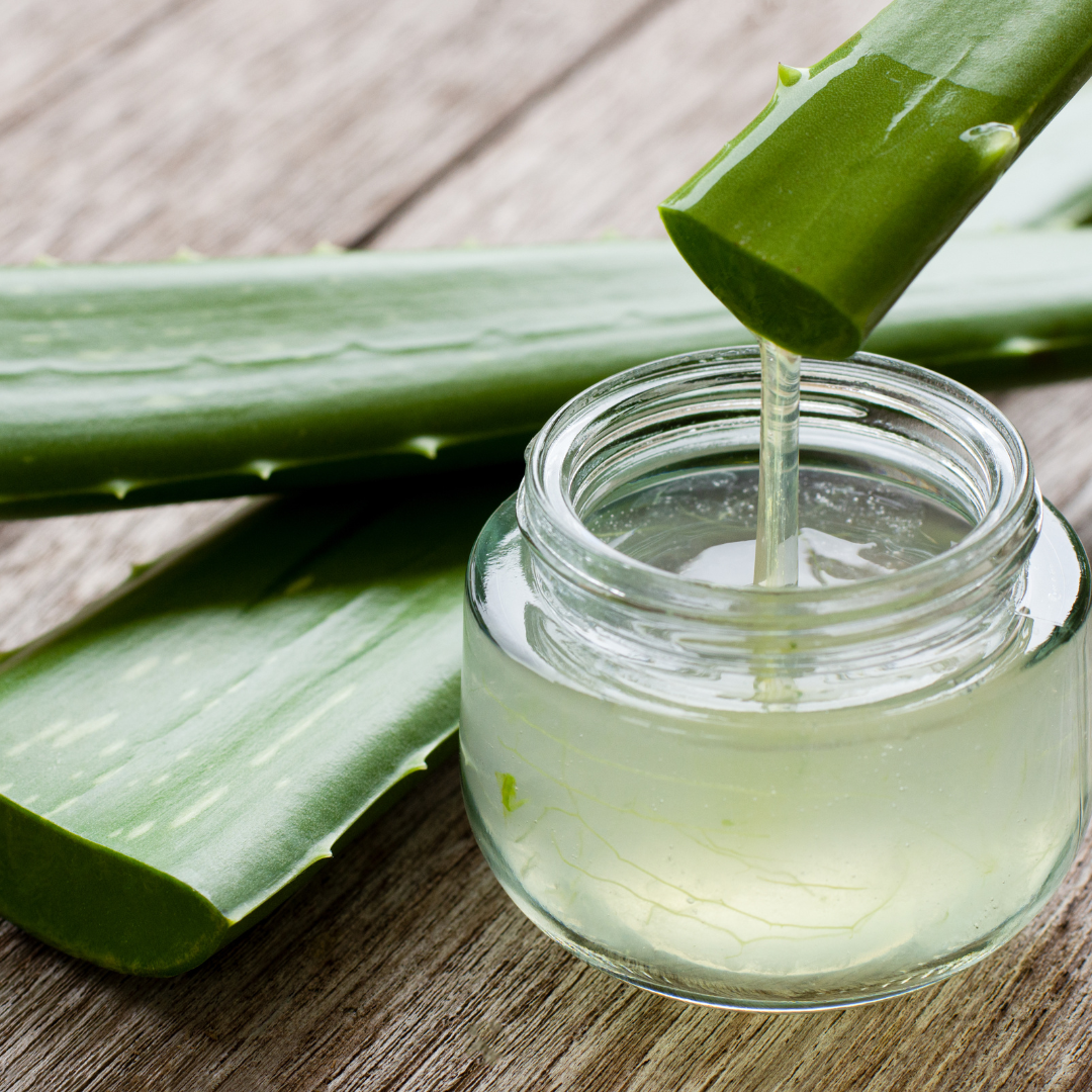 aloes