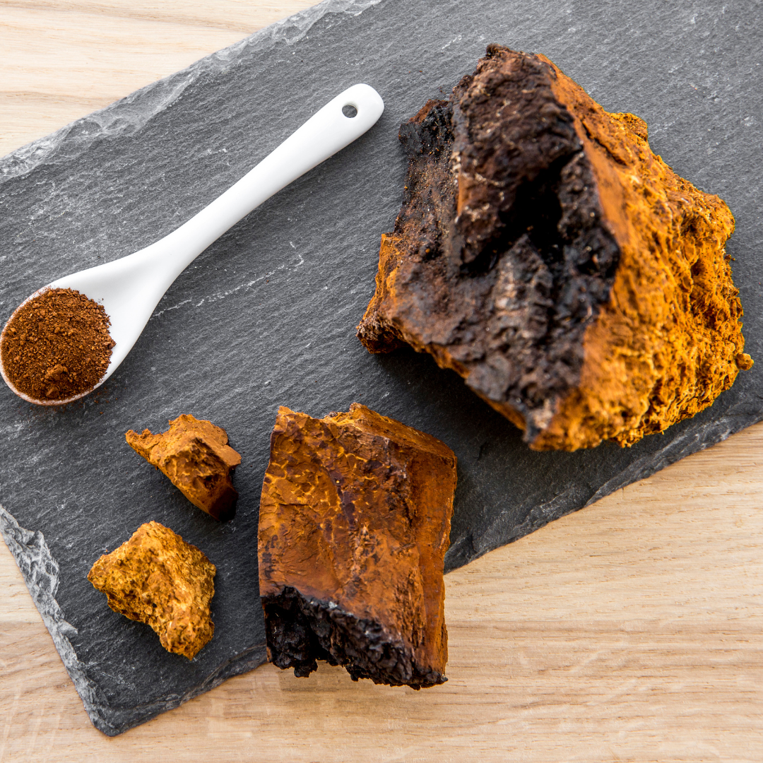 chaga