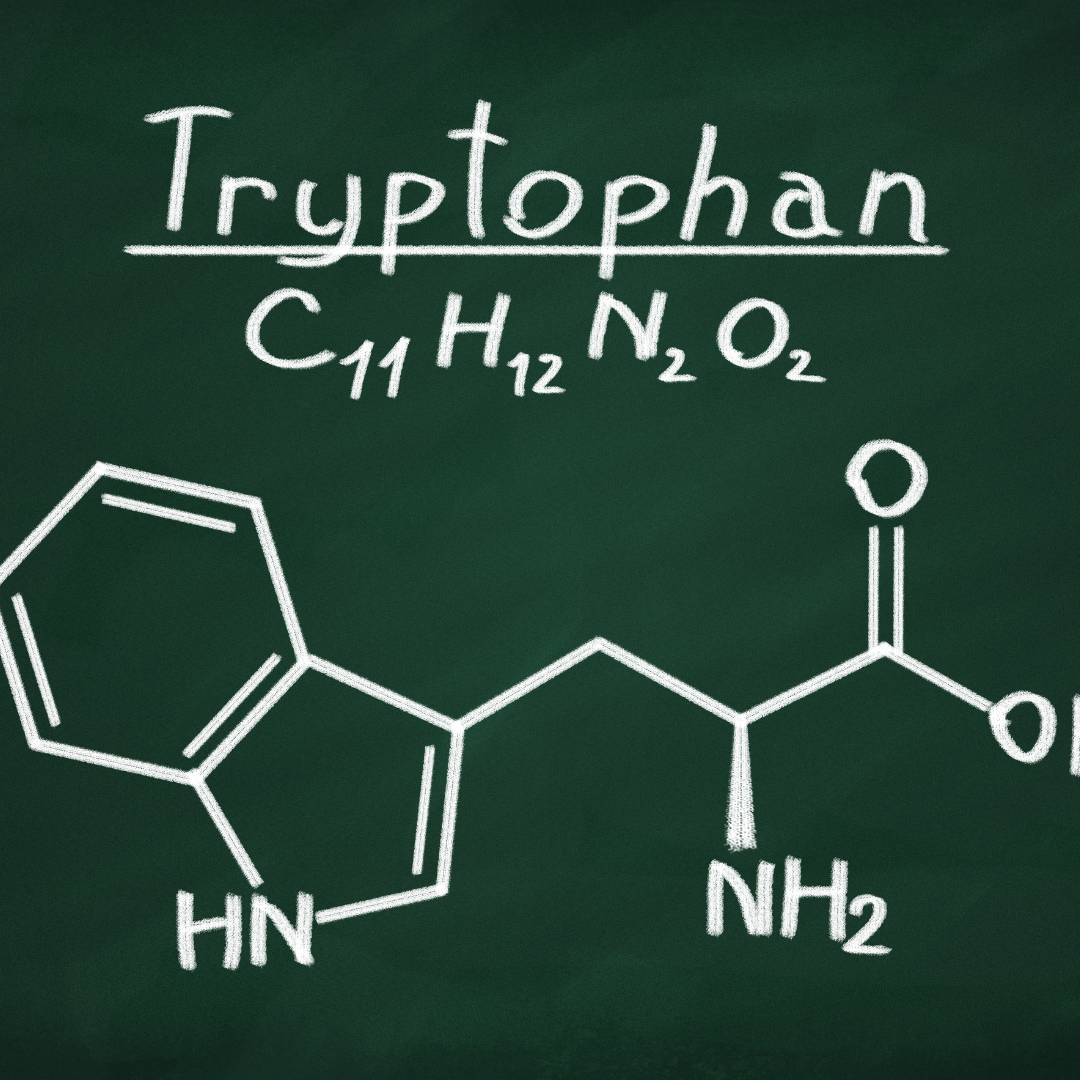 Dla kogo jest suplementacja tryptofanu? Dla kogo jest suplementacja tryptofanu?