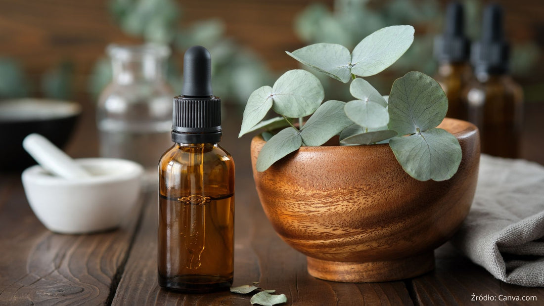 Olejek eukaliptusowy