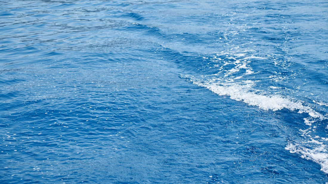 Kolagen morski do picia – dlaczego warto go stosować?