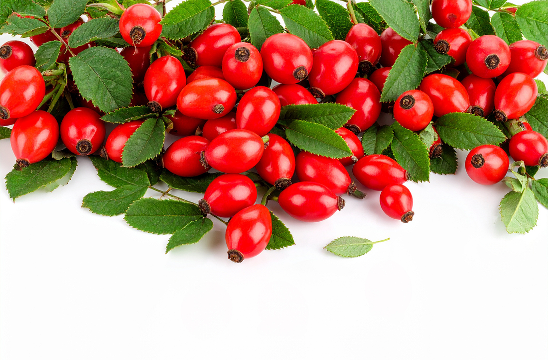 Ekstrakt z dzikiej róży Ekstrakt z dzikiej róży