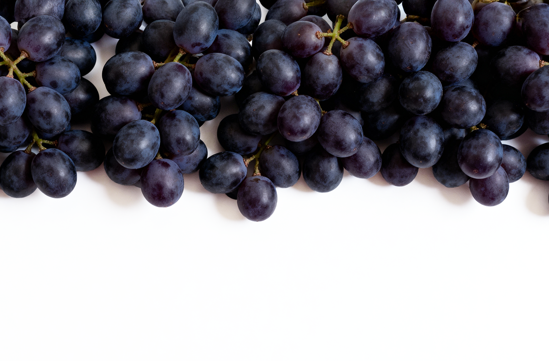 Ekstrakt z pestek winogron Ekstrakt z pestek winogron