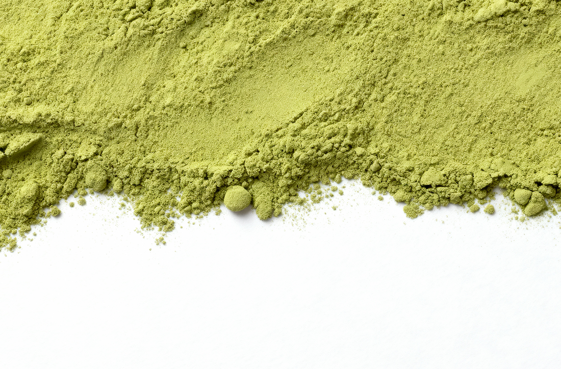 Japońska Matcha BIO (z prefektury Shizuoka) Japońska Matcha BIO (z prefektury Shizuoka)