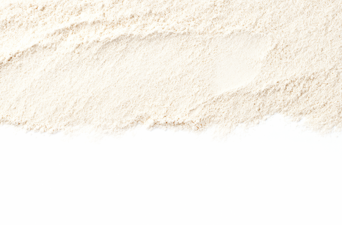 Kolagen typu I Kolagen typu I