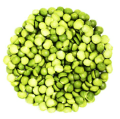 component_02