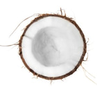 woda kokosowa2