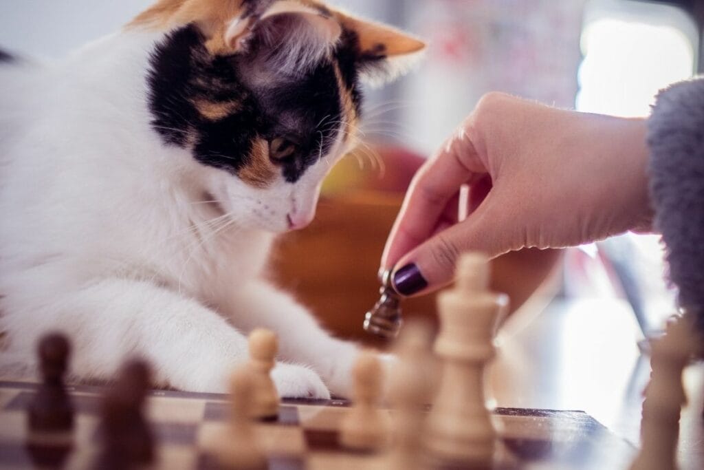 How to focus? Our top 5 tips on how you can improve your concentration!