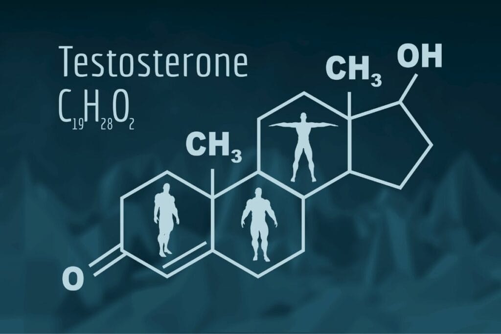 How to naturally increase testosterone levels?