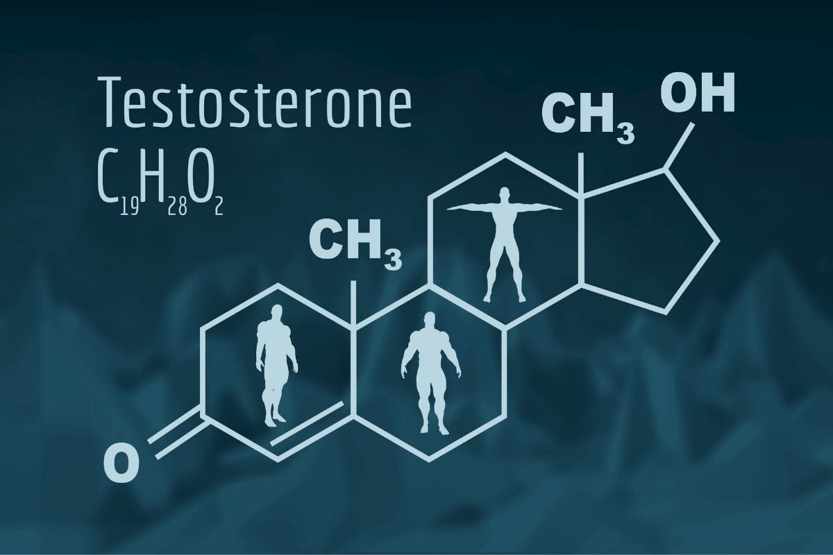 How to naturally increase testosterone levels?