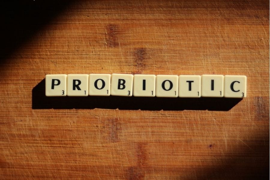 Probiotyki na jelita – odpowiednie wsparcie mikroflory organizmu!