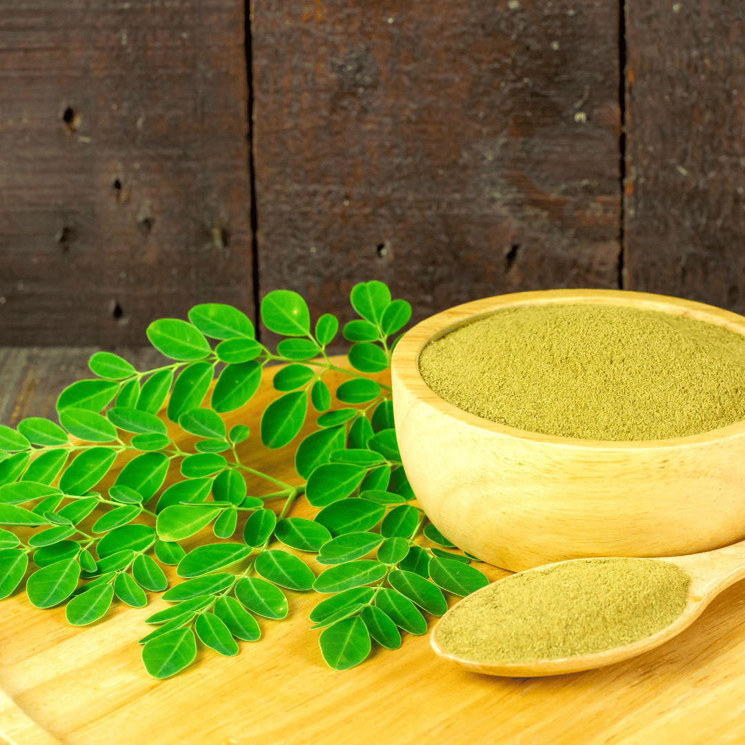 Moringa – co to jest? Jakie ma właściwości herbata Moringa?