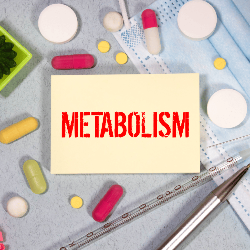 Metabolizm – co to, jak działa i jak go przyspieszyć?
