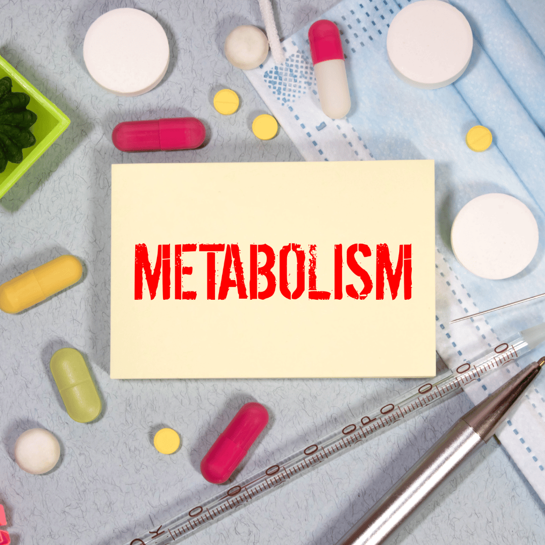 Metabolizm – co to, jak działa i jak go przyspieszyć?