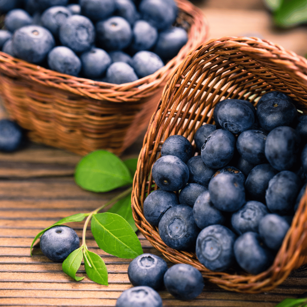 Borówki amerykańskie – Superfood dla zdrowia oczu i układu sercowo-naczyniowego
