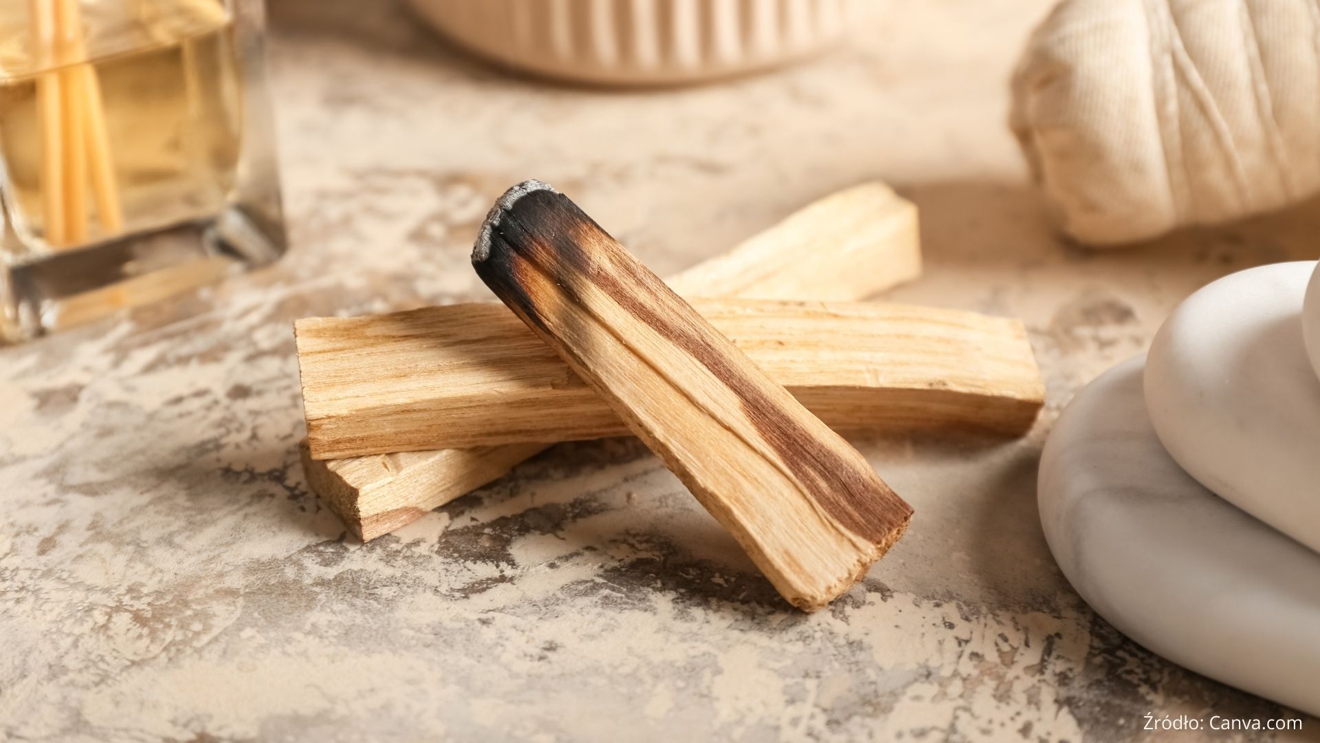 Palo Santo – co to jest? Sposoby stosowania i korzyści
