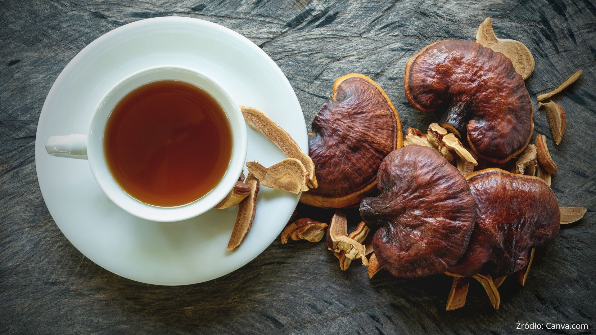Grzyby Reishi – odkryj ich właściwości i zalecenia dotyczące stosowania
