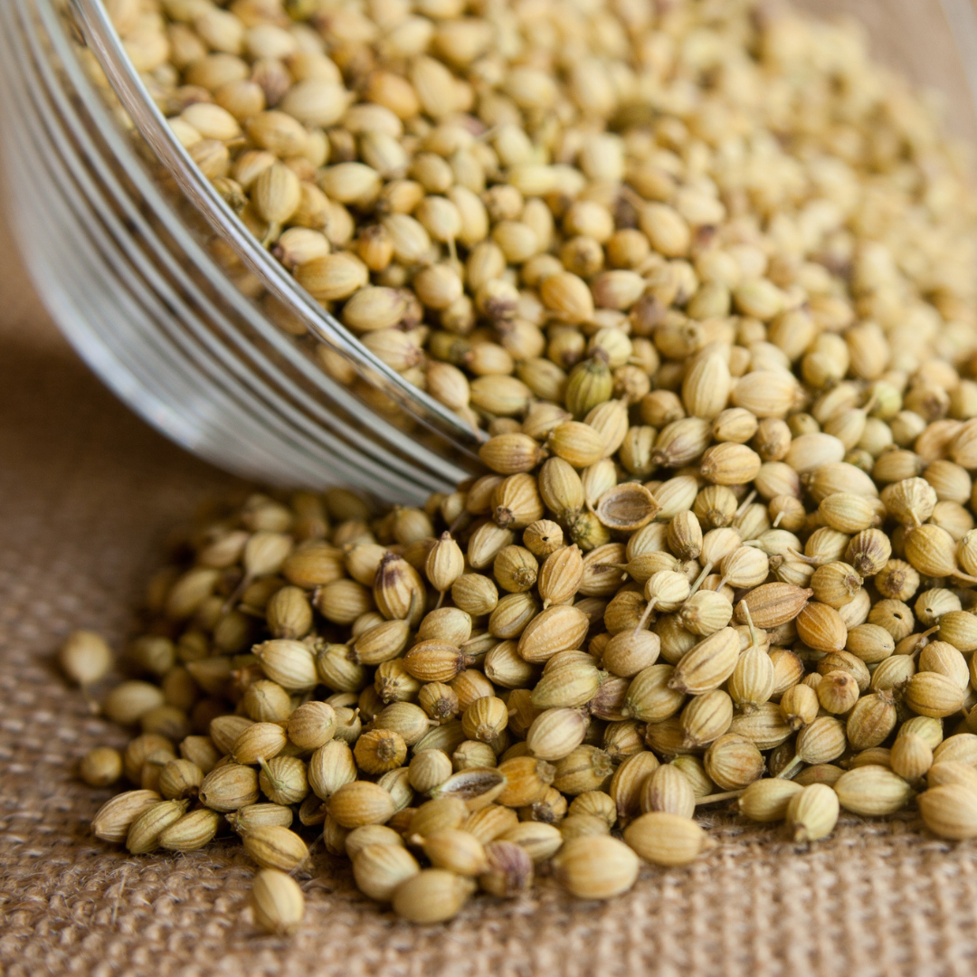 Kolendra - Roślina o właściwościach detoksykacyjnych i wspomagających trawienie