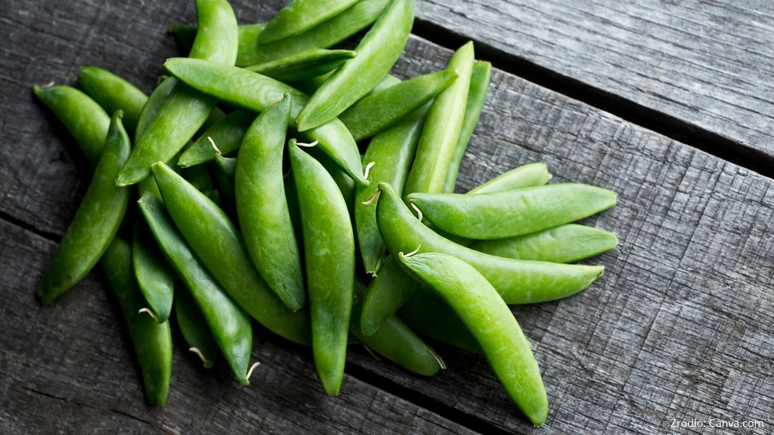Groszek cukrowy - smaczny i zdrowy przysmak. Dlaczego warto go jeść?