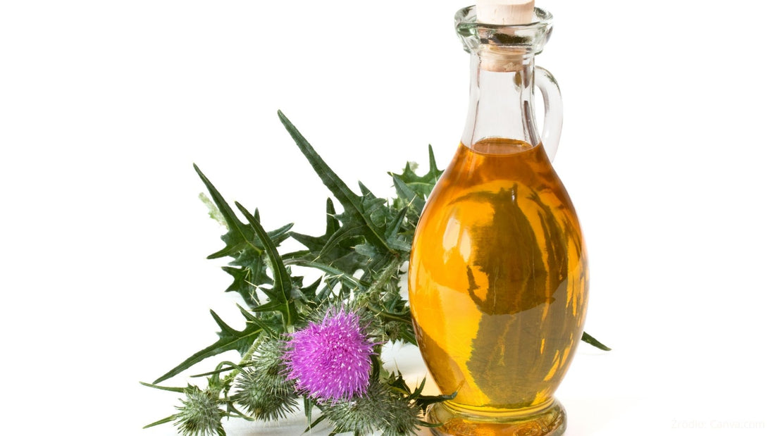 Olej z ostropestu