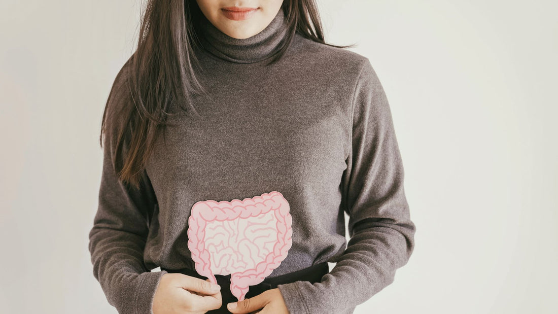 Kolagen na jelita – jak wpływa na zdrowie przewodu pokarmowego?