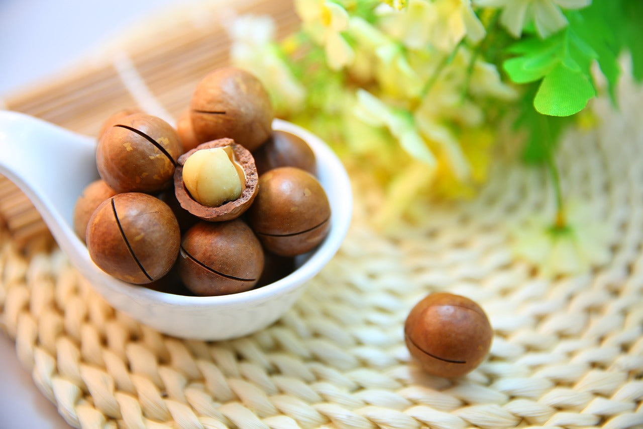 その他 Nuts Makademia Macadamia nuts - how are they different from other nuts? Properties an