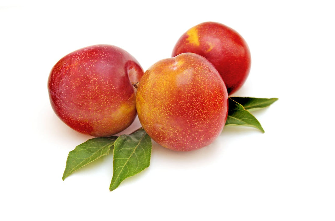 Biotyna (witamina B7) — w jakich produktach jej szukać?