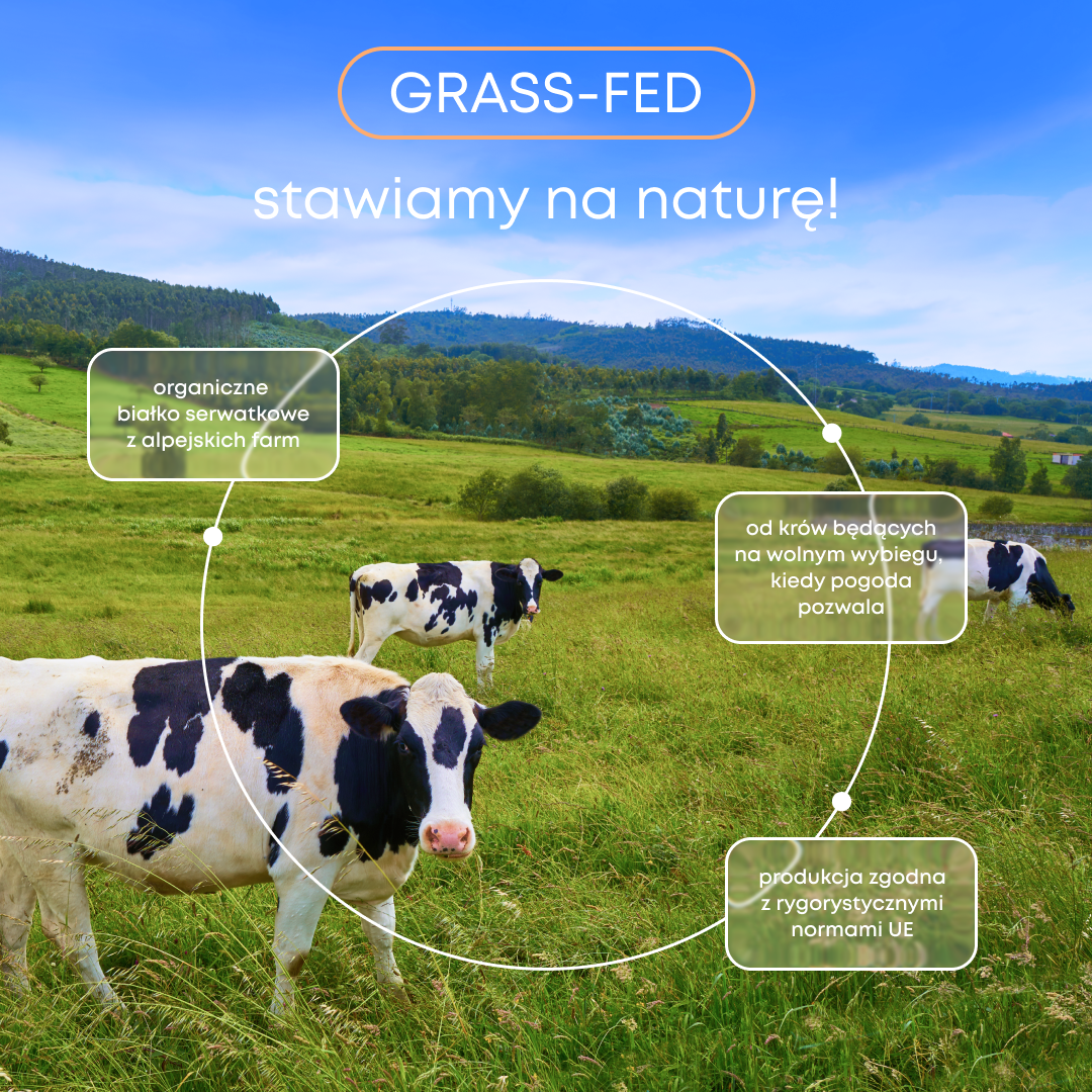 SUPERSONIC Whey 360° GRASS-FED Protein Supplement